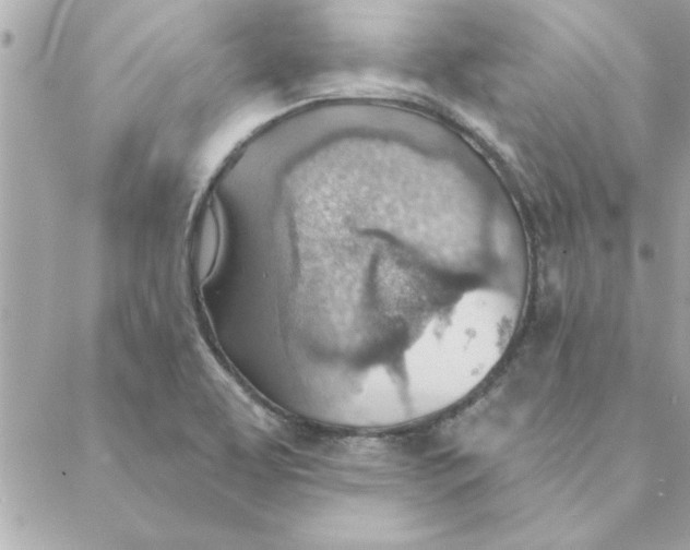 X0000088161463200706051039