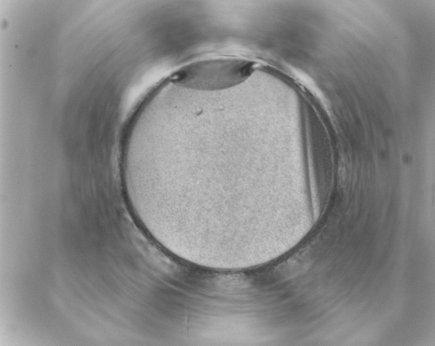 X0000088161464200706051039