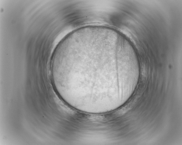 X0000088161466200706051039