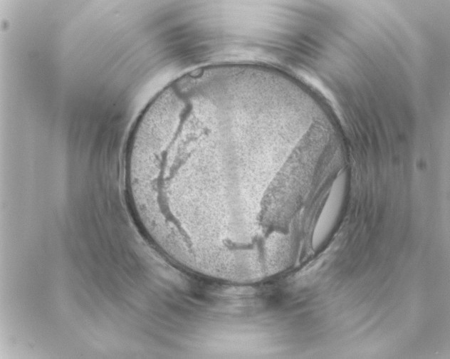 X0000088161467200706051039