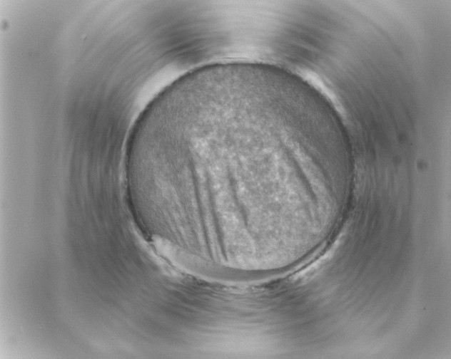 X0000088161469200706051039