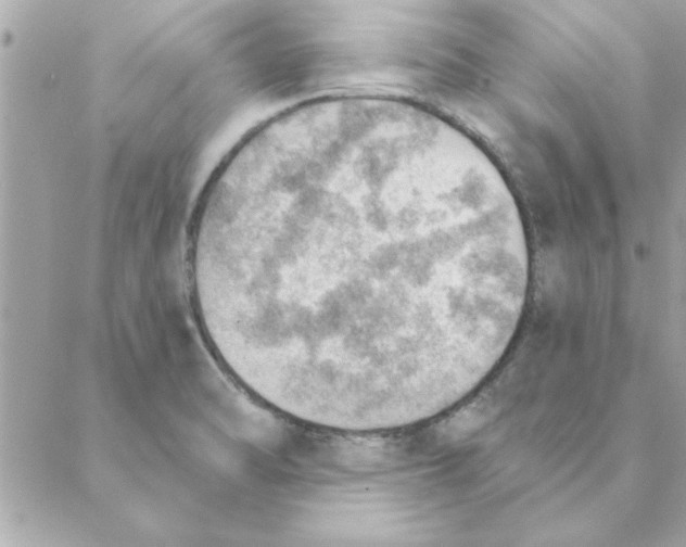 X0000088161470200706051039