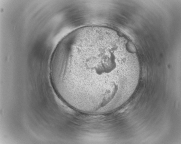 X0000088161471200706051039