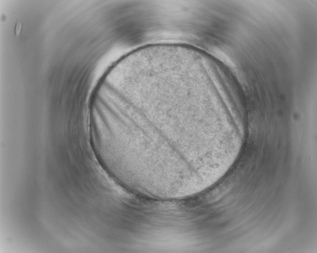 X0000088161472200706051039