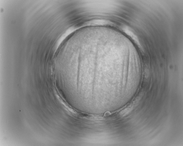 X0000088161473200706051039