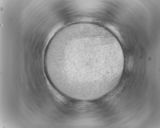 X0000088161475200706051039