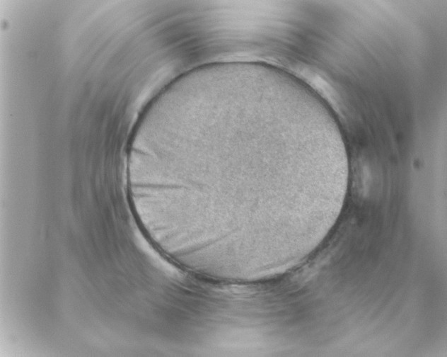 X0000088161476200706051039