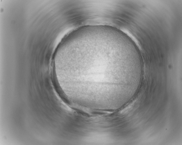 X0000088161477200706051039