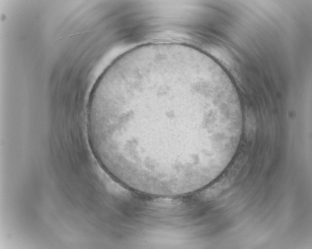 X0000088161478200706051039