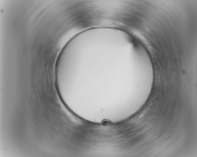 X0000088161479200706051039