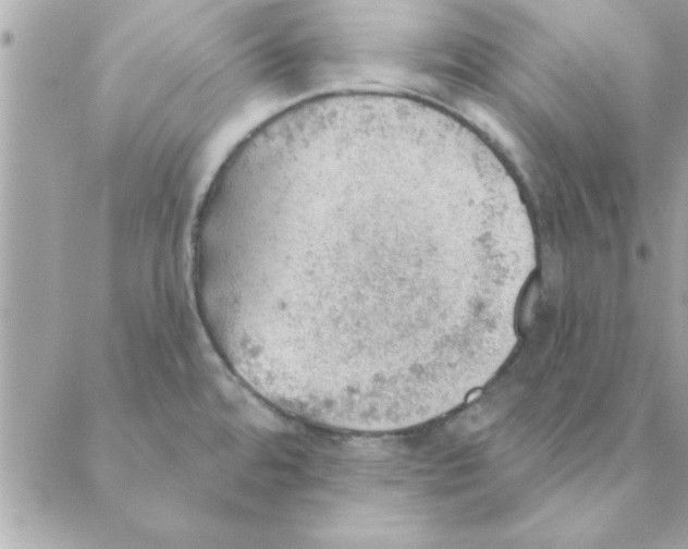 X0000088161480200706051039