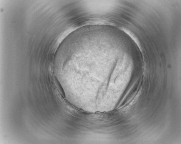 X0000088161481200706051039