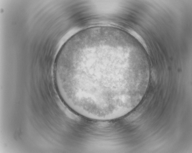 X0000088161482200706051039