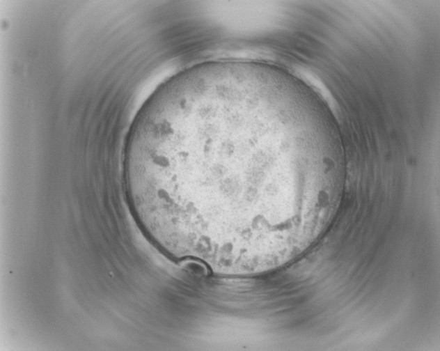 X0000088161483200706051039