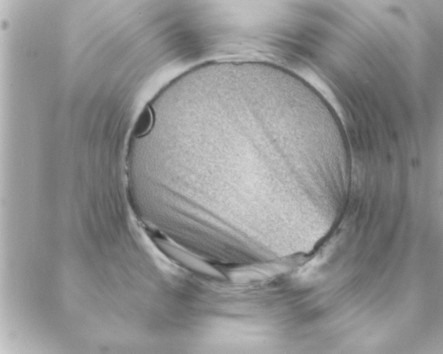 X0000088161485200706051039