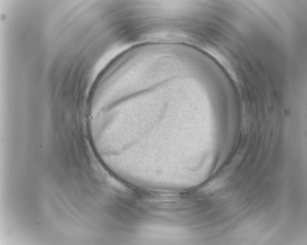 X0000088161486200706051039