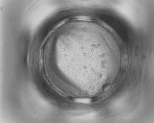 X0000088161487200706051039