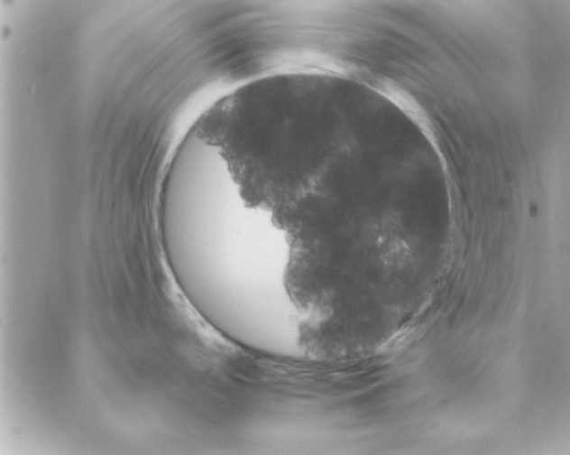 X0000088161488200706051039