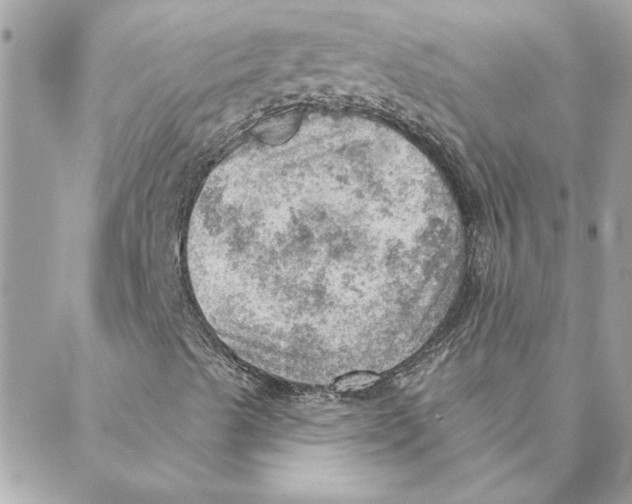 X0000088161489200706051038