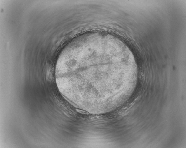 X0000088161490200706051038