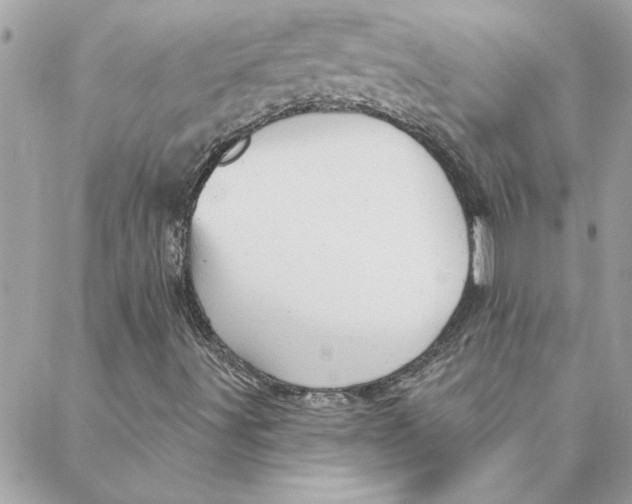 X0000088161491200706051038