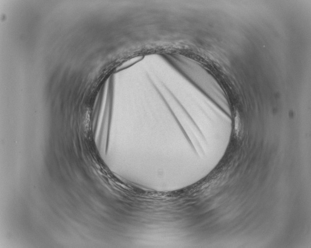 X0000088161492200706051038