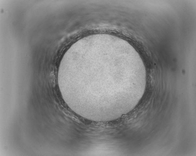 X0000088161493200706051038