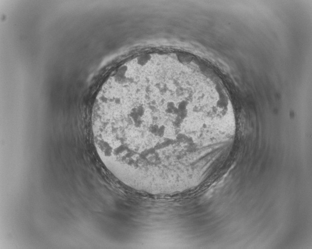 X0000088161494200706051038