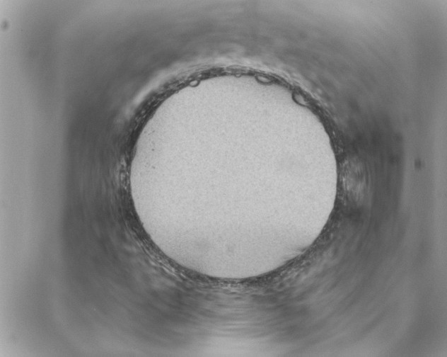 X0000088161495200706051038