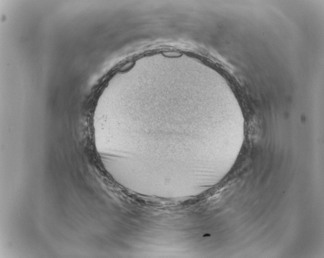 X0000088161496200706051038