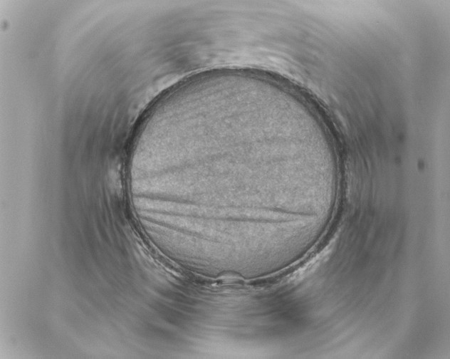 X0000088161497200706051038