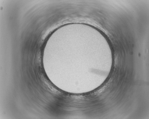 X0000088161498200706051038