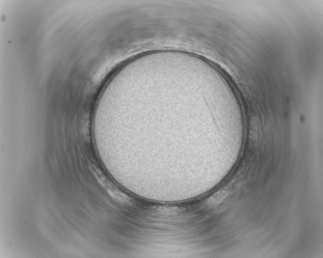 X0000088161499200706051038