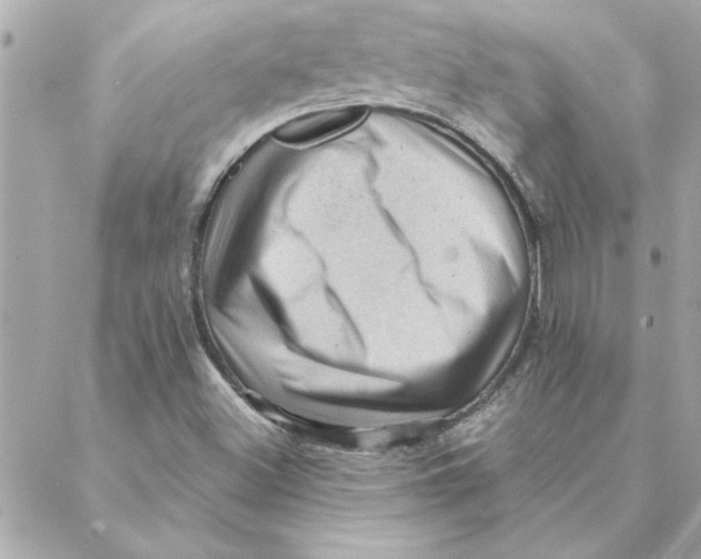 X0000088161500200706051038