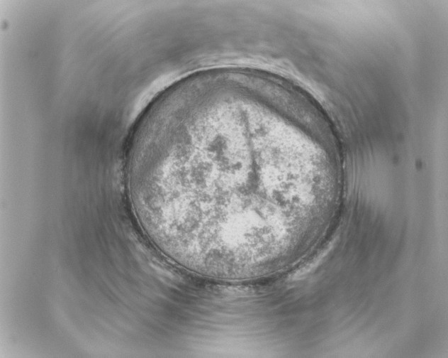 X0000088161501200706051038