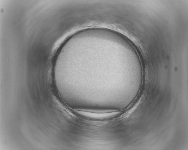 X0000088161502200706051038