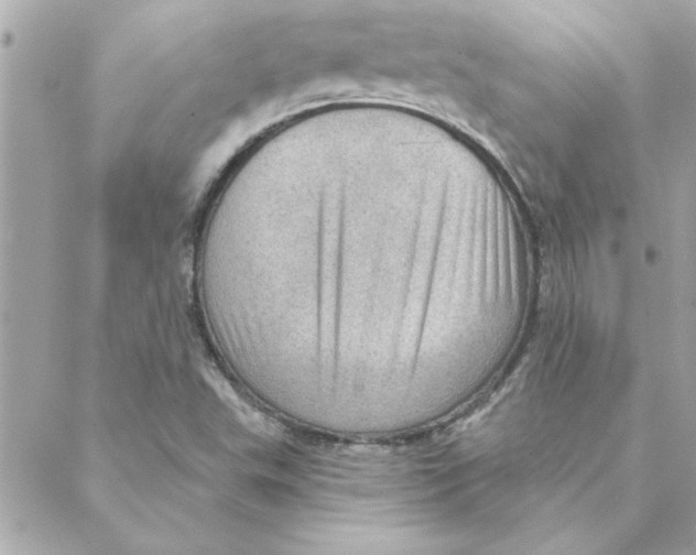 X0000088161503200706051038