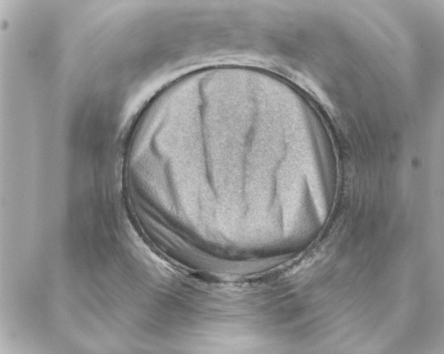 X0000088161504200706051038