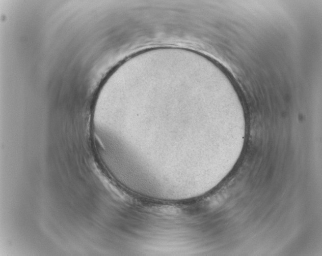 X0000088161507200706051038