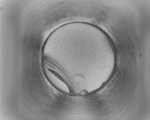 X0000088161508200706051038