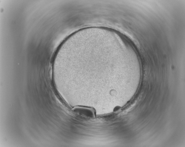 X0000088161509200706051038