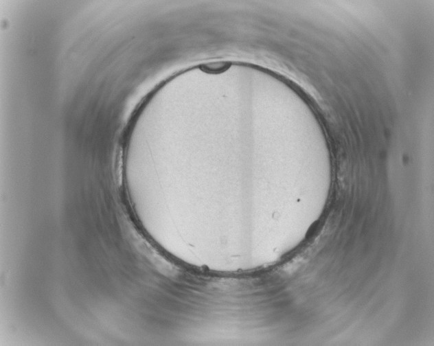 X0000088161510200706051038