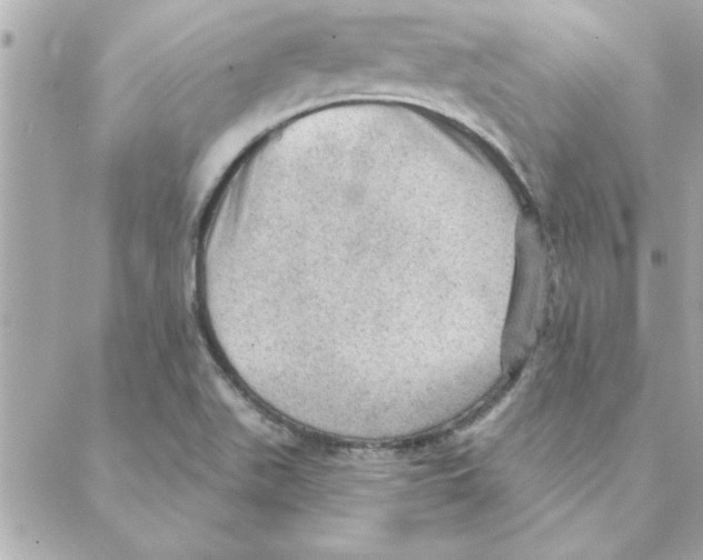 X0000088161511200706051038