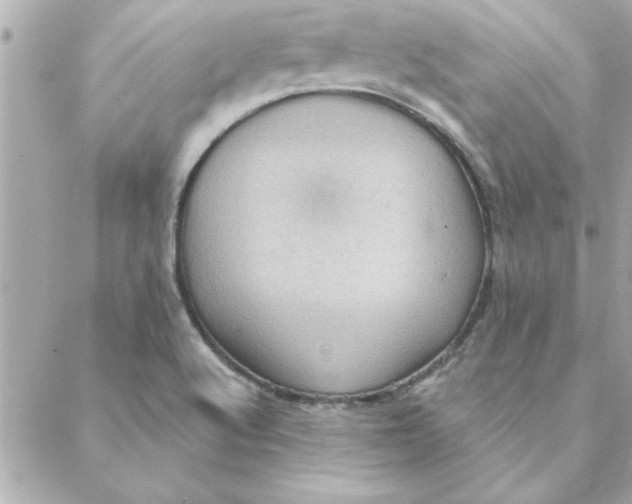 X0000088161512200706051038