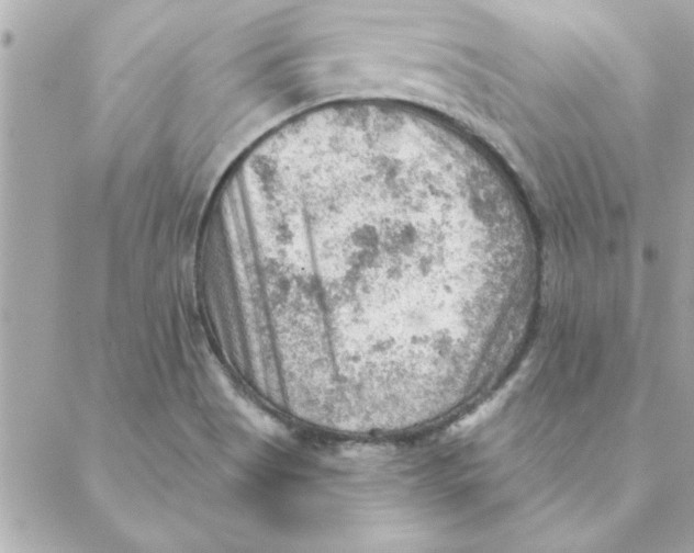 X0000088161513200706051038