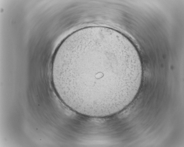 X0000088161514200706051038