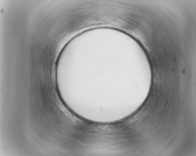 X0000088161516200706051038