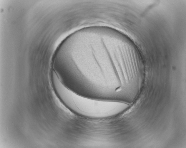 X0000088161518200706051038