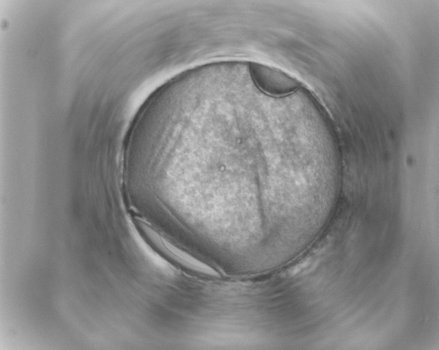 X0000088161519200706051038