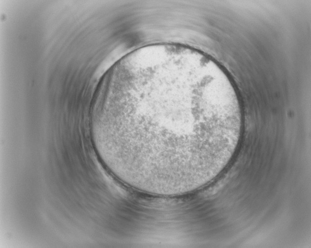 X0000088161521200706051038